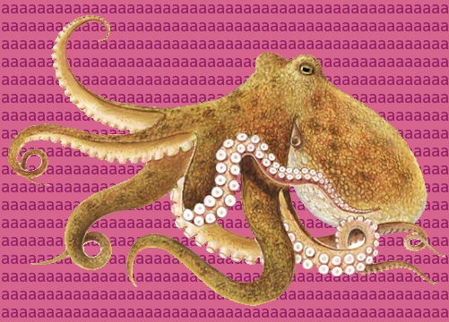 File:Octopus-transparent-bg.png
