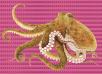 Octopus-transparent-bg.png