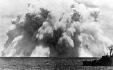 Dominic Swordfish spray dome dispersing