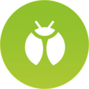 bug
