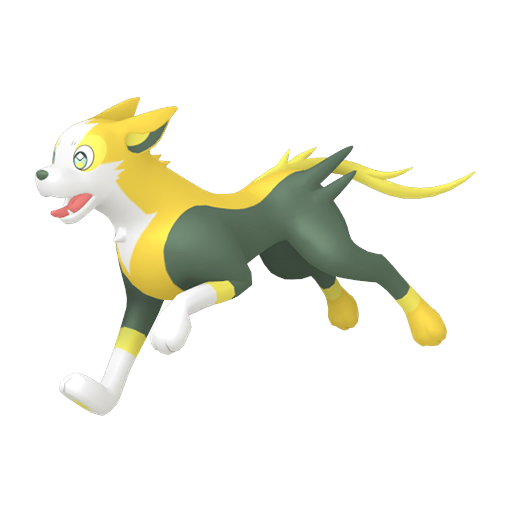 Boltund