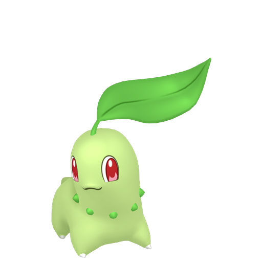 Chikorita