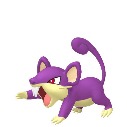 Rattata