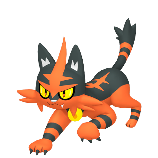 Torracat